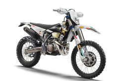 TE 300i Rockstar Edition 2022